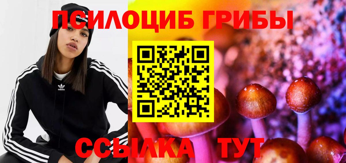 Тихорецк  Галлюциногенные грибы Psilocybine cubensis  Вход с VPN  Псилоцибиновые грибы ЛСД 